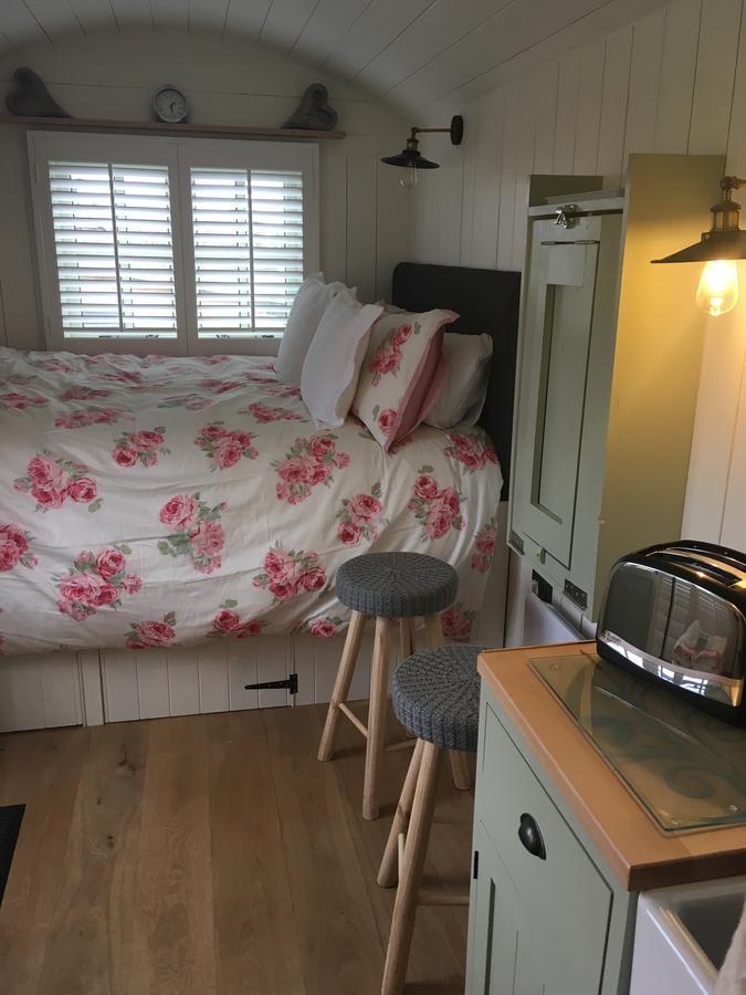 St Ives Downsfield Bed And Breakfast المظهر الخارجي الصورة